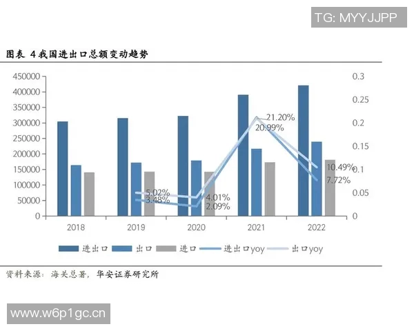 全球进出口贸易趋势分析与未来发展前景探讨