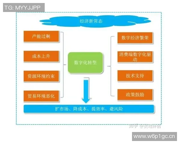 体育产业发展新趋势：数字化转型与全球化布局的深度融合